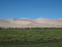 MONGOLIE - Hongor sand dunes 