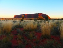 AUSTRALIE - Uluru